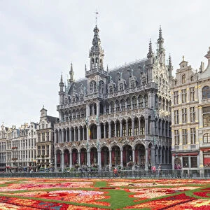 Belgium, Brussels, Grand Place, Flower Carpet Festival and Brussels City Museum