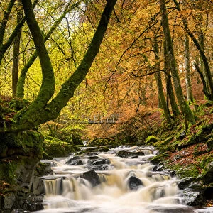 Birks of Aberfeldy in Autumn, Aberfeldy, Highland Perthshire, Scotland