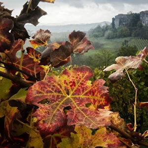 Burios Castle in Boglietto with foliage, Monferrato, Costigliole d Asti