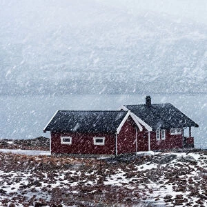 Two cabins along a fjord during a snowfall in the Lofoten islands, Norway