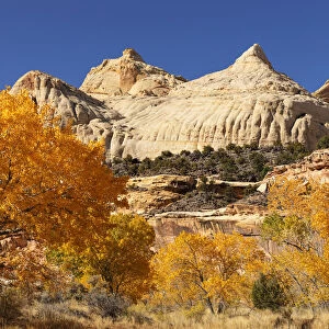Capitol Dome in autumn, Capitol Reef National Park, Utah, USA