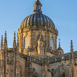 Cathedral, Salamanca, Castile and Leon, Spain