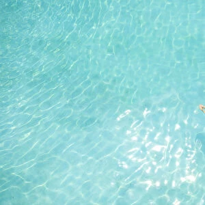 Central America, Belize, Cayo, a girl in a pink bikini swimming in a blue swimming pool