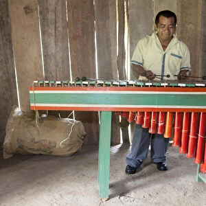 Central America, Belize, Toledo, Aguacate, a Qeqchi-Maya man playing the marimba