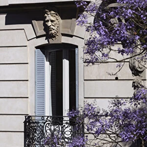 Colonial style architecture in a building of the Recoleta neighborhood during spring, with Jacaranda's trees in flower, Buenos Aires, Argentina