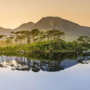 Connemara, County Galway, Connacht province, Republic of Ireland, Europe. Lough Inagh lake