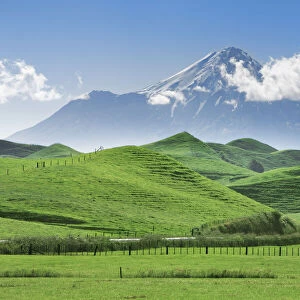 Cultural landscape and Mount Egmont - New Zealand, North Island, Taranaki, Stratford