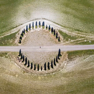 Cypresses Ring near the famous San Quirico d Orcia cypresses