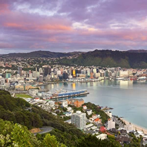 Elevated view over central Wellington illuminated at sunrise, Wellington, North Island