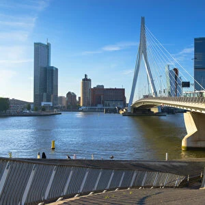 Erasmus Bridge (Erasmusbrug), Rotterdam, Zuid Holland, Netherlands