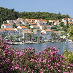 Europe, Croatia, Dalmatia, Korcula island, Vela Luka town, view of the centre of town
