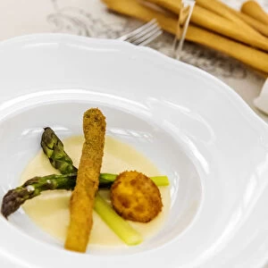 Europe, Italy, Piedmont. a starter with asparagus