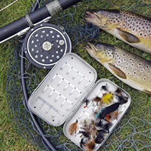 Two fine brown trout caught with dapping fly and rod from a boat on Loch Ba