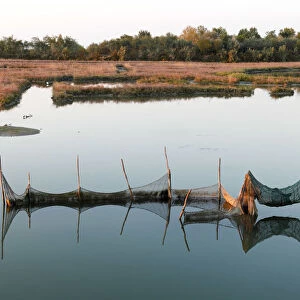 Fishing nets in the eastern lagoon of venice, Venice, Veneto, Italy
