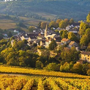 France, Bourgogne-Franche-Comte, Burgundy, Cote-d Or, Pernand-Vergelesses