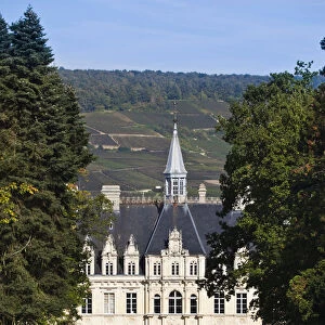 France, Marne, Champagne Region, Boursault, Chateau de Borsault