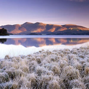 Frosted Grasses & Skiddaw Reflecting in Derwent Water, Lake District National Park