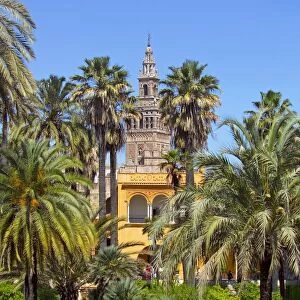Giralda tower seen from Alcazar Gardens, Seville, Spain