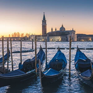 Gondolas on St Marks Square waterfront, Venice, Veneto, Italy