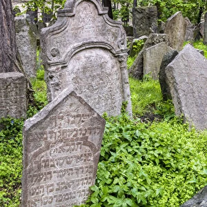 Gravestones in the Old Jewish Cemetery, Prague, Bohemia, Czech Republic