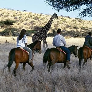 Guests view game from horseback at Wilderness Trails, Lewa Downs