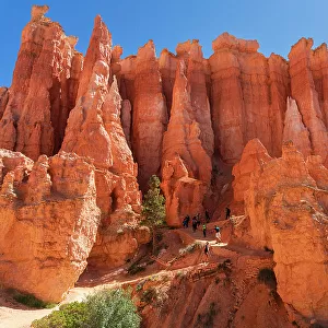 Hikers walking on a trail among hoodoos on Queens Garden Trail inside Bryce Canyon, Bryce Canyon National Park, Utah, USA
