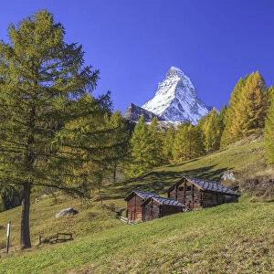 Huts on the pastures of Zermatt surrounded by yellowed larches and the Matterhorn
