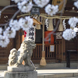 Ichinomiya shrine, Kobe, Kansai, Japan