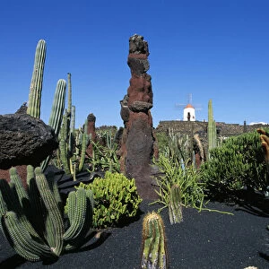 Jardin de Cactus, Lanzarote, Canary Islands, Spain