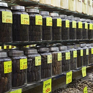 Jars of dried sea cucumbers, Sheung Wan, Hong Kong, China