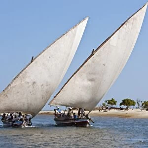 Kenya. Two Jahazi boats sailing off Lamu Island. The main way to transport goods in the Lamu Archipelago