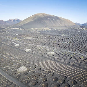La Geria volcanic landscape with vineyards, Lanzarote, Canary Islands, Spain