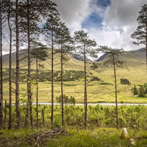 Landscape on the West Highland Way at Bridge of Orchy, Aryll and Bute, Scotland