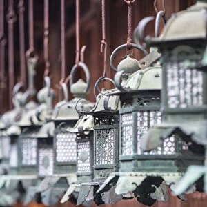 Lanterns at Kasuga Taisha Shrine (UNESCO World Heritage Site) at dusk, Nara, Kansai