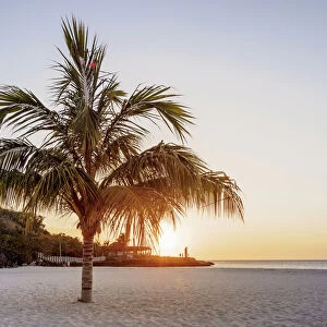 Lone Palm Tree at Guardalavaca Beach, sunset, Holguin Province, Cuba