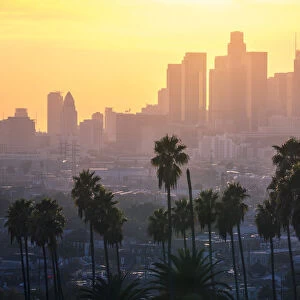 Los Angeles Downtown and palm trees at sunset. This is a classic view of the city of