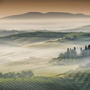 Collections: Tuscany