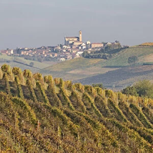 Monferrato, Asti district, Piedmont, Italy. Autumn in the Monferrato wine region