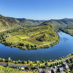 Mosel with Calmont vineyard, Bremm, Rhineland-Palatinate, Germany