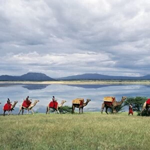 Msai men lead a camel caravan laden with equipment