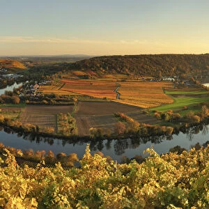 Neckar River bend near Mundelsheim am Neckar, Baden-Wurttemberg, Germany