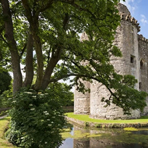 Nunney Castle and moat, Somerset, England. Summer