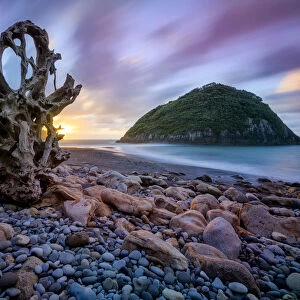 Oceania, New Zealand, Aotearoa, North Island, Rocky beach near New Plymouth