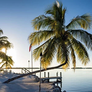Palm Trees & Jetty, Islamorada, Florida Keys, USA