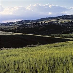 Panoramic Landscape near Pienza