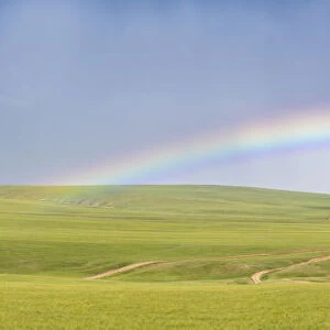 Panoramic view of a rainbow over the green Mongolian steppe. Ovorkhangai province