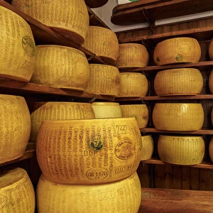 Parmigiano Reggiano, Parmesan cheese, Bologna, Emilia-Romagna, Italy