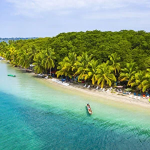 Playa Estrella (Starfish beach), Colon island, Bocas Del Toro, Panama, Central America