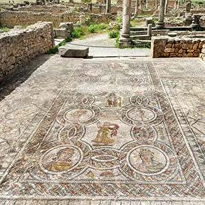 Well preserved mosaic on flooring of the House of Dionysus, Volubilis Archaeological Site, Meknes, Morocco