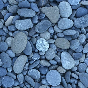 Rocks and pebbles at Rialto Beach, Olympic National Park, Clallam County, Washington, USA